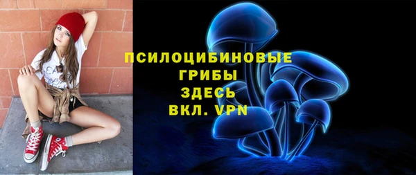гидра Горно-Алтайск