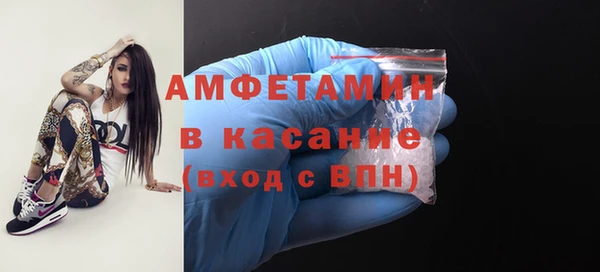 стаф Бородино